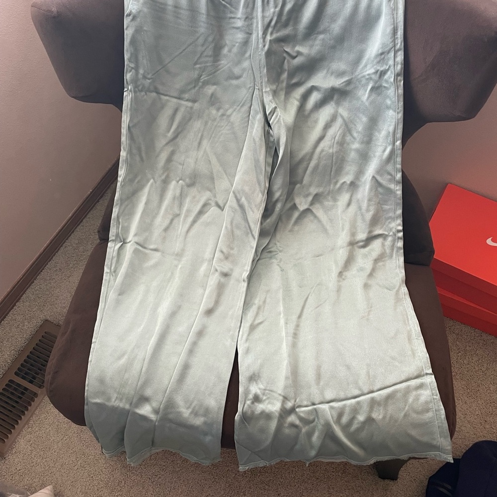 Sleek Satin Pants in Light Green